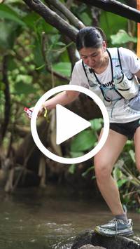 BIB:  <button type="button" onclick="openModal(27824984)" class="btn btn-primary btn-sm float-right" data-toggle="modal" data-target=".modal-high-quality">
                <i class="fa fa-download"></i> Download
                </button>